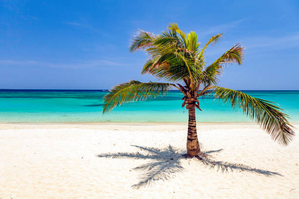 Blue skies, turquoise waters, gentle breezes, sandy beaches and palm trees.  This is why Caribbean Island living can be like Paradise on Earth stock photo