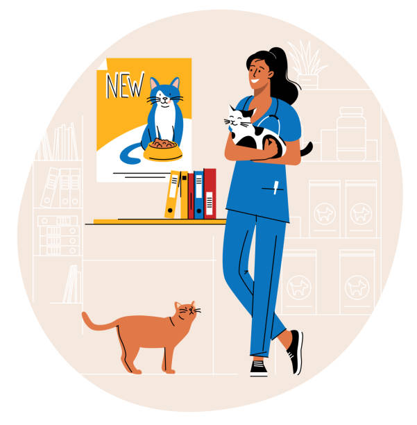 bildbanksillustrationer, clip art samt tecknat material och ikoner med veterinarian holding a cat - veterinär, undersökning