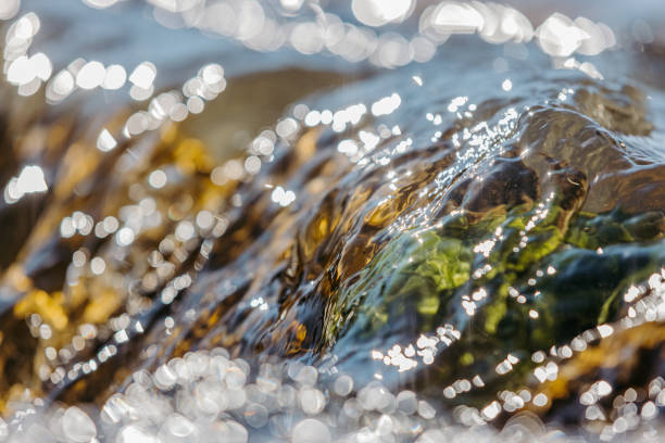 water flowing over rocks - river rocks imagens e fotografias de stock