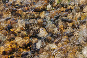 istock Water flowing over rocks 1401188211