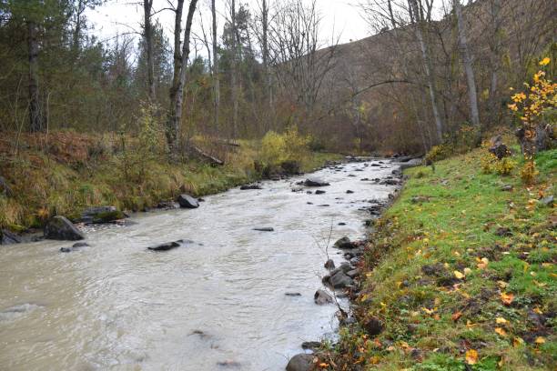 istock Cidacos river. La Rioja, Spain. 1401188971