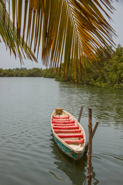 istock Canoe and river landscape in The Gambia 1401191029