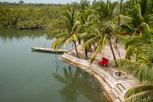 Jetty between palm trees in the river region of Makasutu in The Gambia