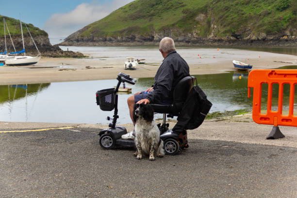 Disabled man riding a mobility scooter strokes the head of his spaniel dog whilst looking out at boats in harbour. stock photo