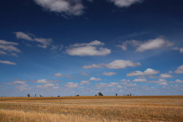 istock Countryside in Victoria, Australia 1401194766