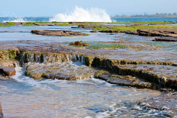 Coastline in New South Wales, Australia