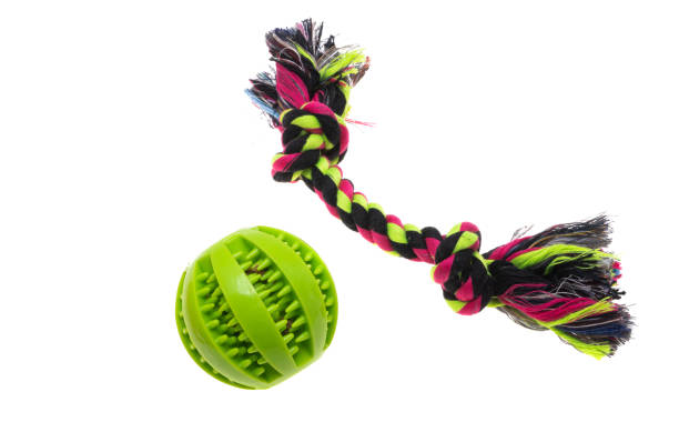 istock dog toys isolated 1401197130