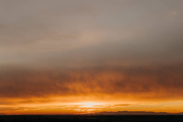 Silhouette of scenic agricultural field during sunset