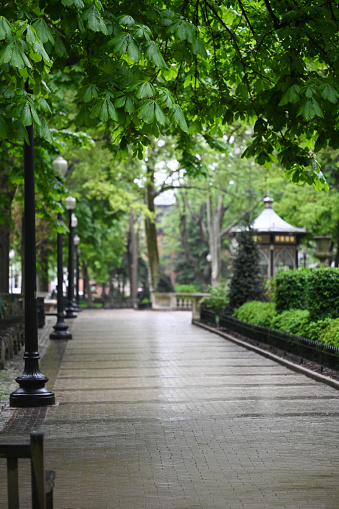 Rittenhouse square park in Philadelphia