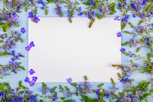 A white sheet on a blue background in a frame of blue wildflowers. Mock-up