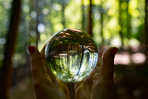 A big soap bubble being held in a girl's hands. Grass and the base of a tree are in the background, out of focus. Taken during the summertime. Landscape photography.