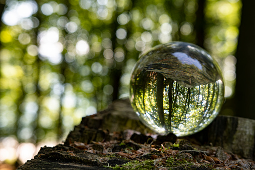 Scandinavian nature and a tree outside and inside. Focus  taking care of nature and the climate shown with nature encased in a luminous crystal ball.