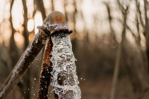 Extreme close-up of water flowing from pump against bare trees at forest in Petanjski Springs