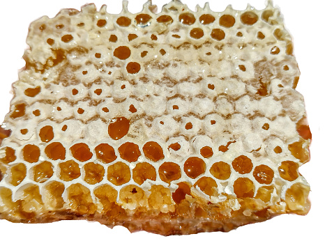 Close up honey combs bees organic isolated on white background , clipping path macro