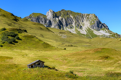 Beautiful view on the Oeschinensee in Switzerland on a sunny summer day with a lot of mountain flowers in front