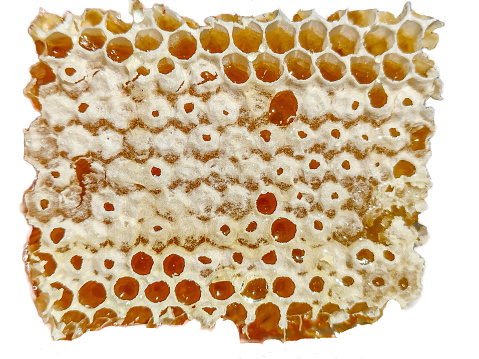 honeycomb - raw, apiculture, macro view