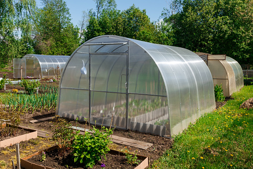 greenhouse in the garden. polycarbonate greenhouses in the garden.
