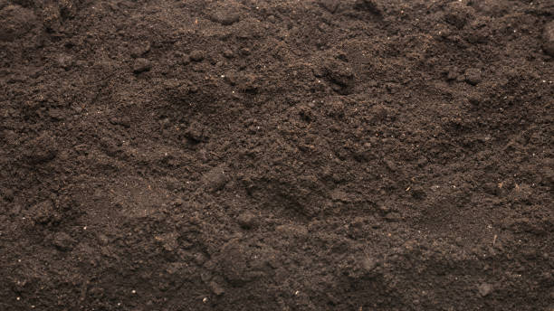 istock Black land for plant background. Top view. 1401210931