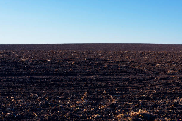 istock Ploughed field and blue sky as background. 1401210947