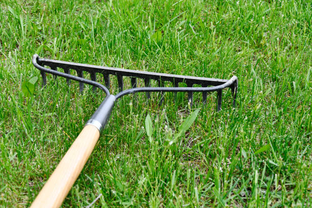 istock Metal Garden Rake Close Up 1401213206