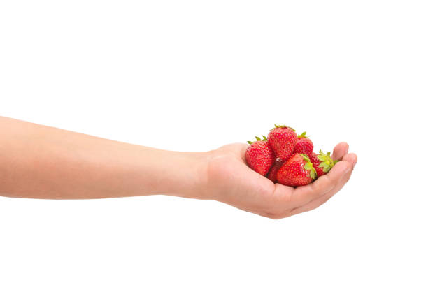 istock Hand with fresh strawberry isolated on white background 1401213433