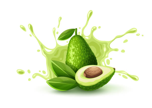 grüne frucht avocado saftiger spritzer. reifer pflanzlicher vektor. illustration. - guacamole avocado cutting white background stock-grafiken, -clipart, -cartoons und -symbole
