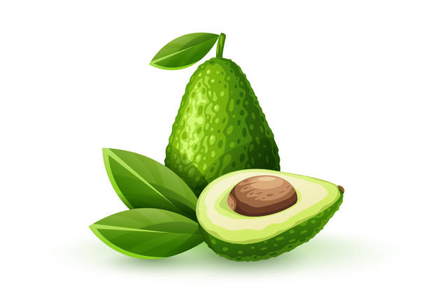 ilustraciones, imágenes clip art, dibujos animados e iconos de stock de aguacate de frutas verdes para salsa de guacamole. ilustración vectorial. - guacamole avocado cutting white background