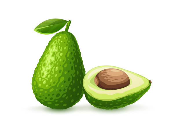 ilustraciones, imágenes clip art, dibujos animados e iconos de stock de aguacate de frutas verdes para salsa de guacamole. ilustración vectorial. - guacamole avocado cutting white background