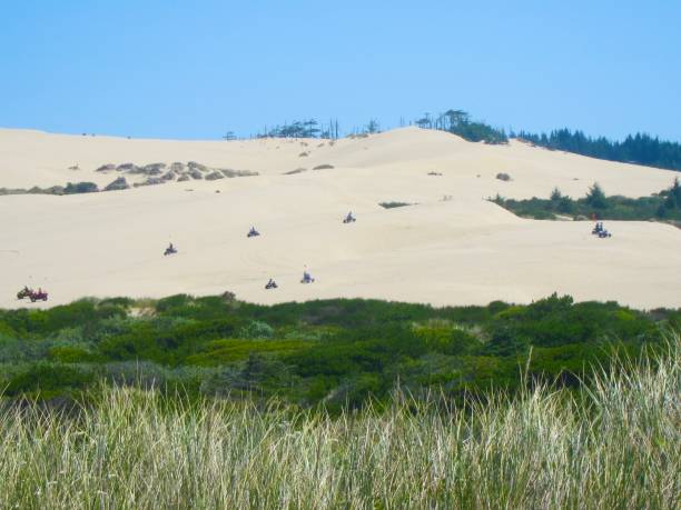 The Oregon Dunes between Florence and Coos Bay attract thousands of summer visitors every year. The Oregon Dunes National Recreation Area is located on the Oregon Coast, stretching approximately 40 miles north of the Coos River in North Bend to the Siuslaw River in Florence, and adjoining Honeyman State Park on the west.