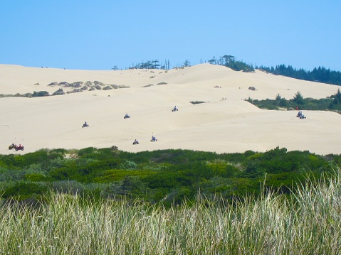 The Oregon Dunes between Florence and Coos Bay attract thousands of summer visitors every year. The Oregon Dunes National Recreation Area is located on the Oregon Coast, stretching approximately 40 miles north of the Coos River in North Bend to the Siuslaw River in Florence, and adjoining Honeyman State Park on the west.