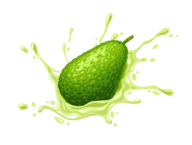 ilustraciones, imágenes clip art, dibujos animados e iconos de stock de salpicadura jugosa de aguacate de fruta verde. verdura madura. ilustración vectorial. - guacamole avocado cutting white background