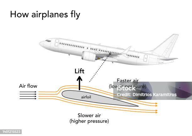 Comment Volent Les Avions Vecteurs libres de droits et plus d'images ...