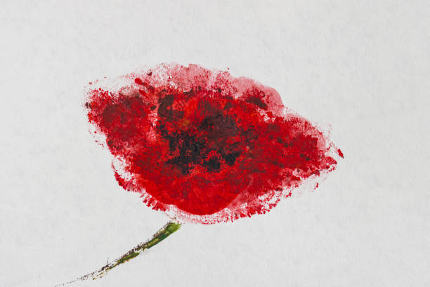 голова красного цветка мака крупным планом на светлом фоне - stem poppy fragility flower stock illustrations