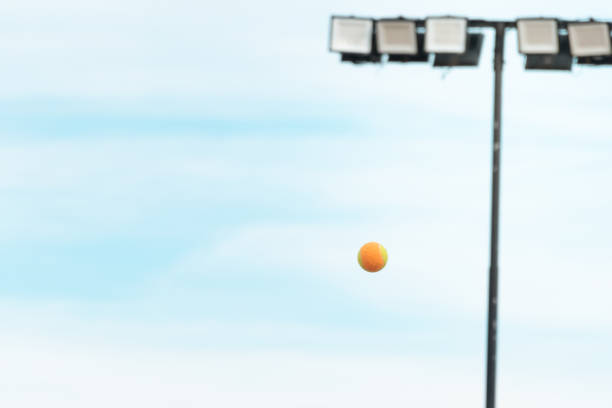 istock Beach tennis racket and ball 1401217005