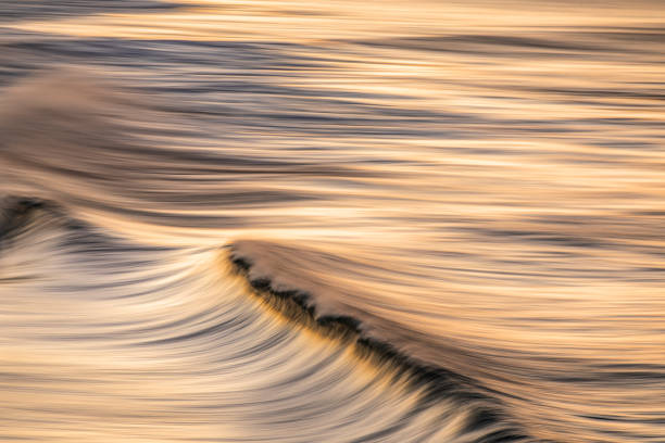 istock Smooth golden ocean wave breaking during a dramatic sunrise at the beach 1401217809