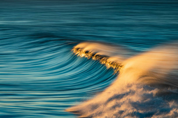 istock Smooth golden ocean wave reflecting a dramatic sunrise at the beach 1401217973