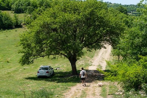 The man trekking in the Beaver Forests in Vezürköprü, Samsun province, Black Sea Region. He walks towards his car parked in the tree canopy. The image of the man walking on the path stretching between the flowers blooming in spring and the trees with fresh green leaves was shot with a full frame camera.