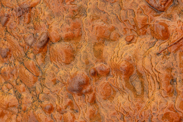 High angle full frame shot of wet rock formation at forest in Petanjski Springs