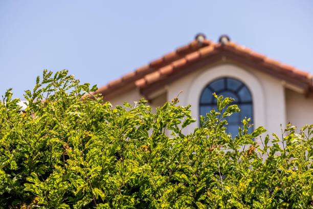 Birds sitting on rope under the roof of building. Selective focus