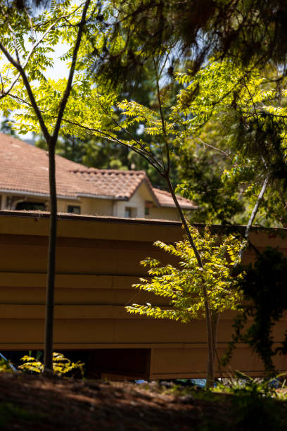 istock Suburban Homes in San Diego 1401229988