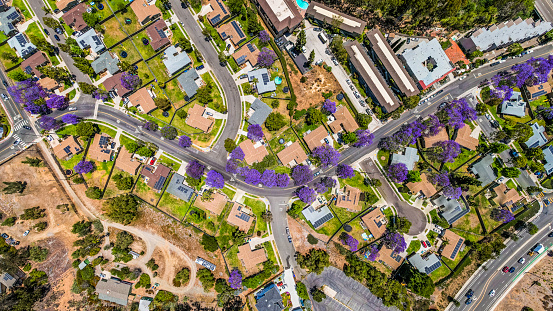 High quality aerial photos of a San Diego neighborhood in late Spring early Summer looking down at blooming Jacaranda trees.