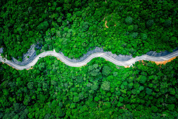 vue de la route en zigzag dans la jungle vue depuis le drone - high angle view photos et images de collection