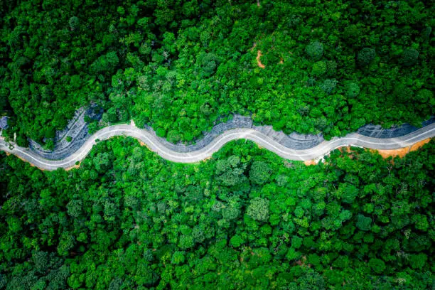 Photo of View of the zig zag road in the jungle view from the drone