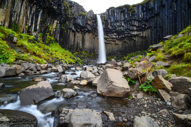 istock Svartifoss waterfall and its basalt columns. Skaftafell 1401230754