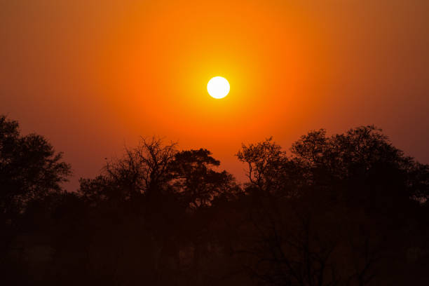 Sunset on the woodlands of central Kruger National Park, Mpumalanga Province, South Africa