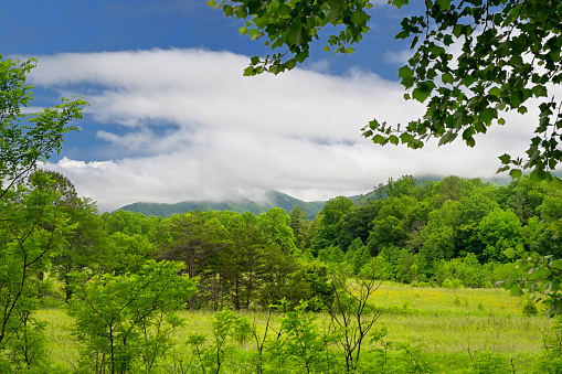 Cades Cove in Great Smoky Mountains, TN, USA in early springtime.