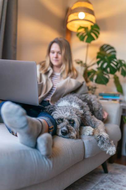 istock Pet dog snuggling with owner as she works on the computer 1401239483