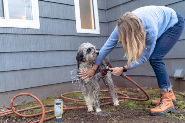 istock Happy dog getting a bath outside in backyard 1401239495