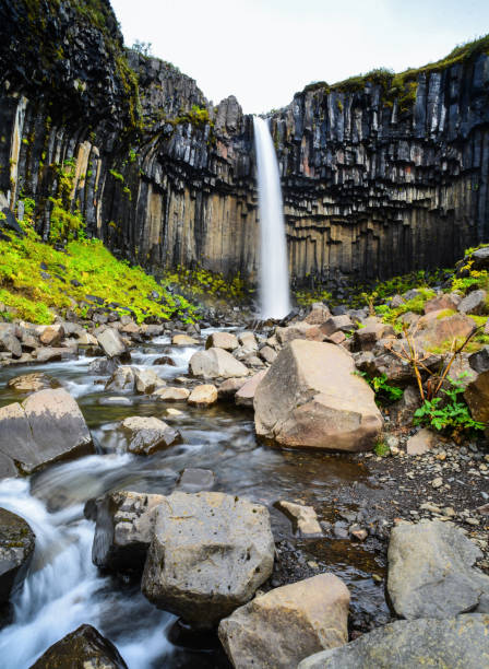 istock Svartifoss waterfall and its basalt columns in Skaftafell 1401248428