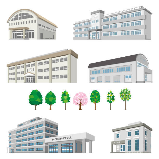 ilustraciones, imágenes clip art, dibujos animados e iconos de stock de ilustraciones en perspectiva de varios edificios. vista exterior de un edificio. - school gymnasium illustrations